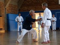 Karate Lehrgang mit Hilmar Fuchs (17.06.2013)