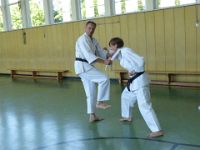 Karate Lehrgang (14.07.2013)