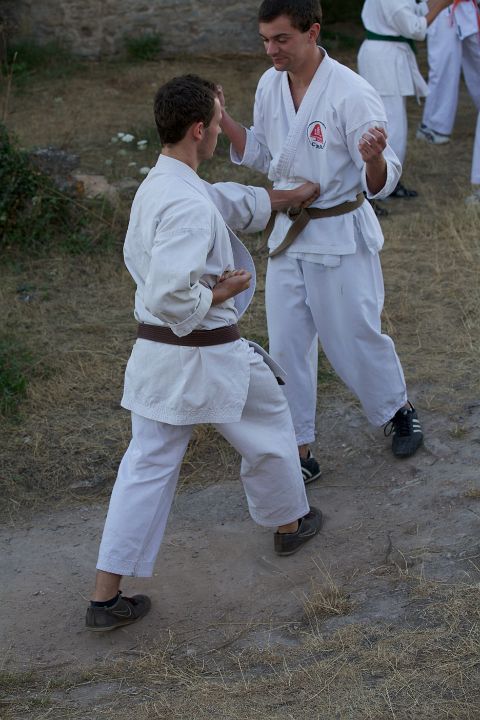 IMG 0089