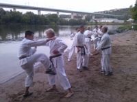 Karate am Mainufer (22.08.2013)