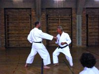 Karate Lehrgang mit Hilmar Fuchs (30.06.2014)